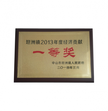 坦洲镇2013年度经济贡献奖